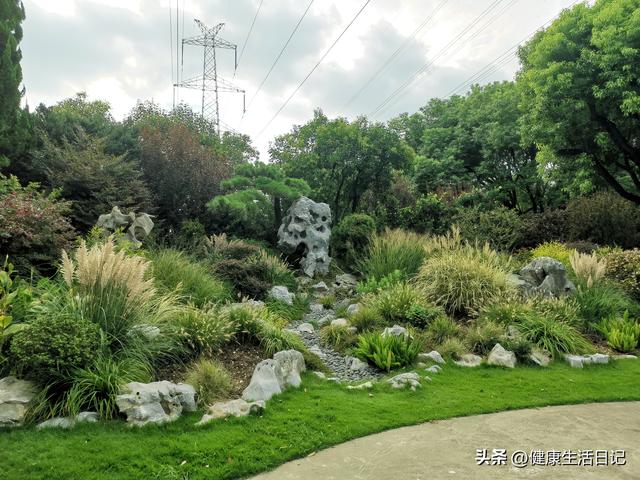 上海最值得徒步的路线，徒步上海普陀区甘泉公园