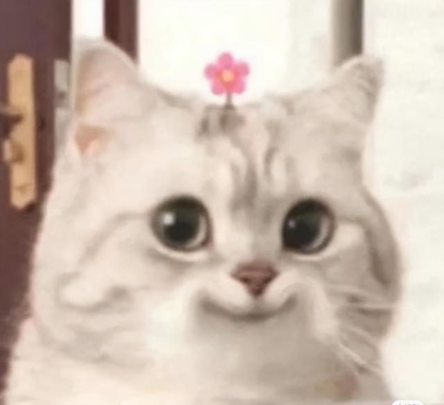 家用热水器用什么样的好，你家的热水器选对了吗