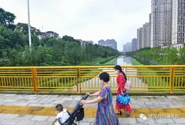 武汉白沙洲人工河，天气下雨鱼情好。坐标武汉市洪山区白沙洲青菱河