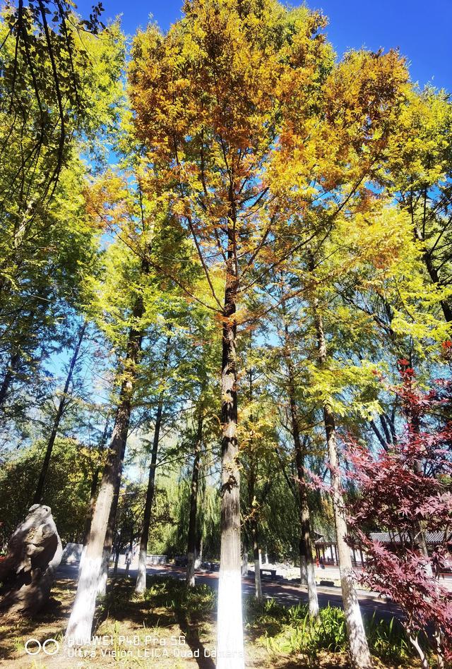 北宫国家森林公园景点介绍，北宫国家森林公园游记