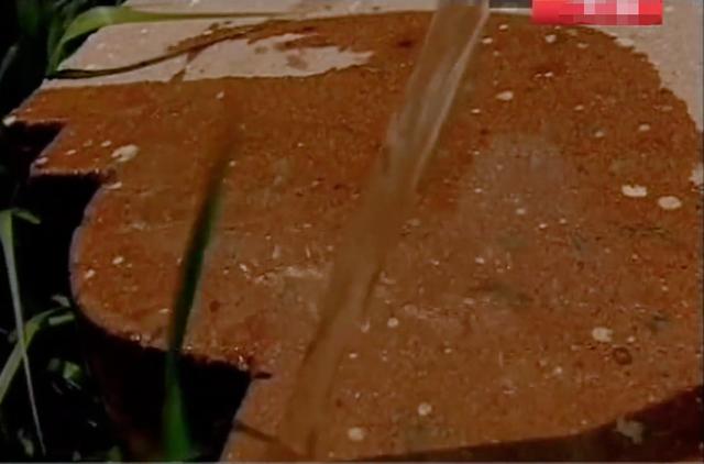 蛇洞，自然密码蛇洞之谜