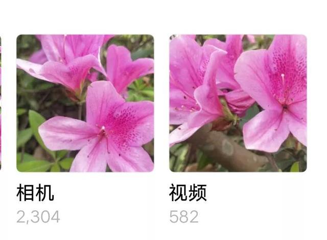 手机自带智能识图，如何使用手机自带的识图功能