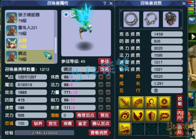 梦幻西游平民69区推荐，梦幻西游玩家等级选择与各等级服务器推荐