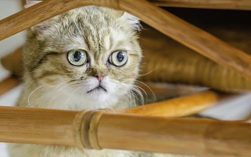 半夜笑话幽默风趣，晚上辗转反侧总是睡不着觉