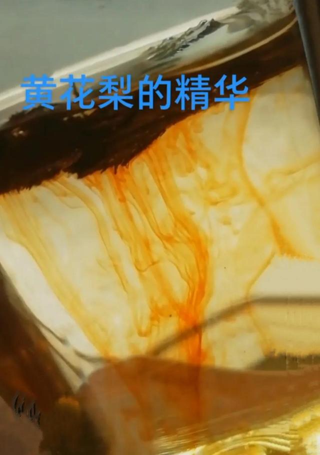 一招鉴定黄花梨，黄花梨是怎么鉴别的