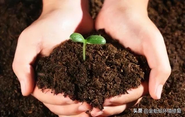我国的土壤分类有哪些，中国15种主要土壤类型和具体分布地区