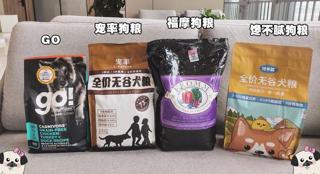  中华田园犬黑色，怎么辨别全身黑色的狗是旺财狗