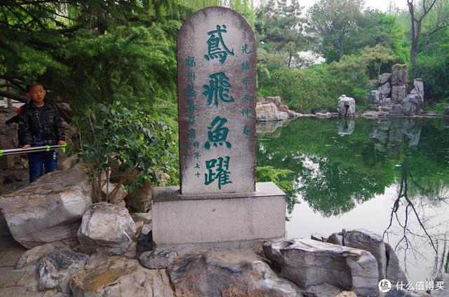 厦门大明湖春节有什么好玩的地方，厦门大明湖畔：水仙绽放贺春来