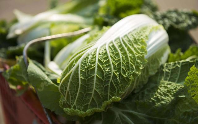 炒白菜的十种做法，教您饭店不外传诀窍