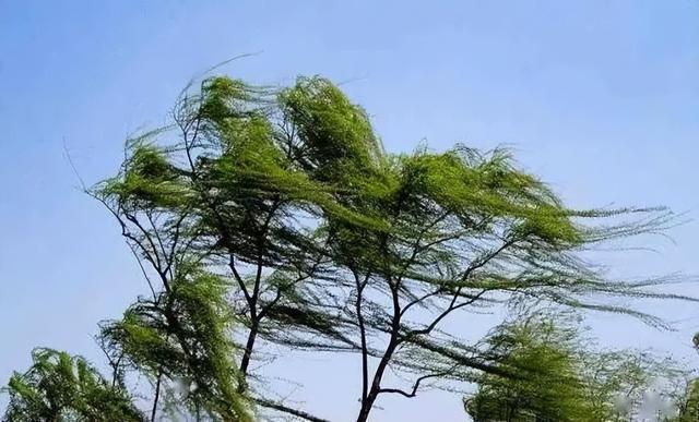 为什么喜欢春天，为什么这么多人喜欢春天呢（你真的了解春天）