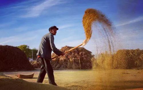 老仙翁民间传说，中国民间诸神传说《南极仙翁》