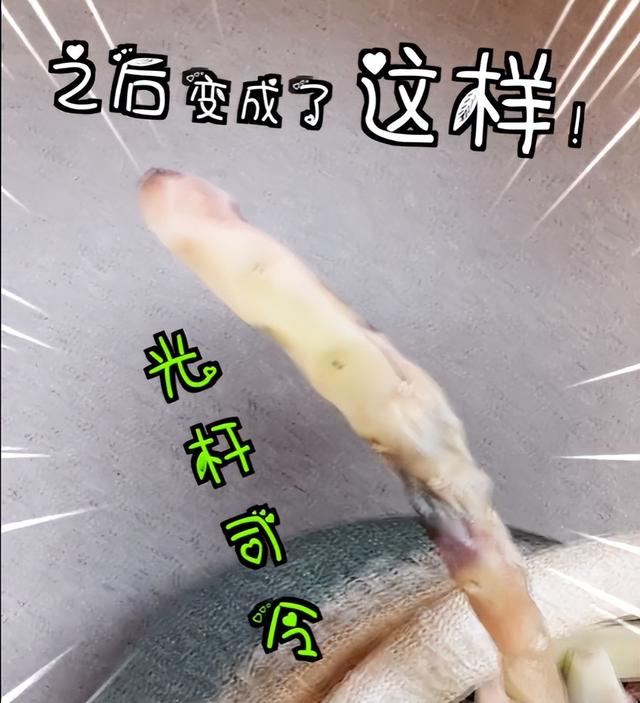 英短蓝猫容易生什么病，蓝猫“遗弃率高”不是没有道理