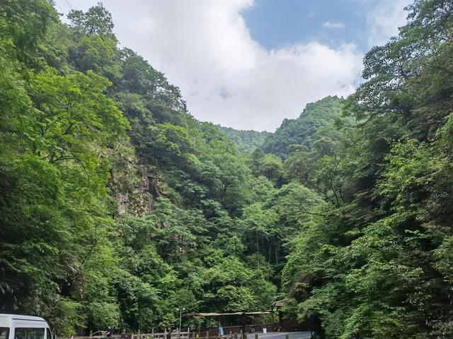 贵州铜仁梵净山，贵州铜仁梵净山风景区攻略（贵州省铜仁市梵净山风景区）