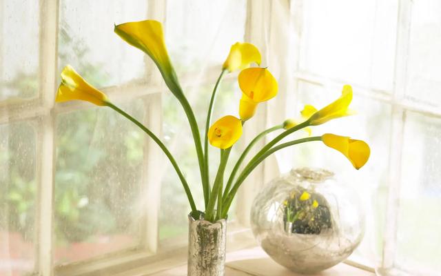 适合发朋友圈的文案，朋友圈适合发的文案正能量（显得朋友圈更高级的文案句子）