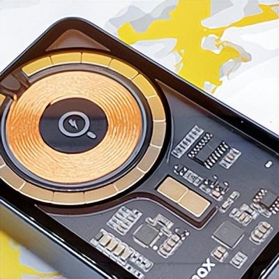 厦门大明湖春节有什么好玩的地方，厦门大明湖畔：水仙绽放贺春来