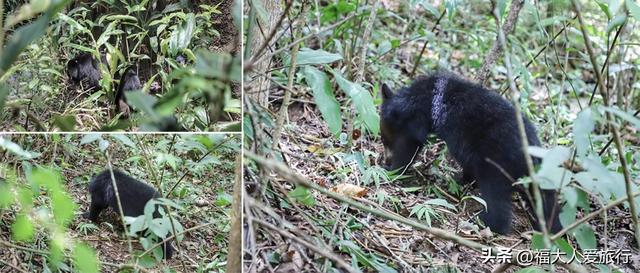 普洱到西双版纳，西双版纳普洱旅游攻略