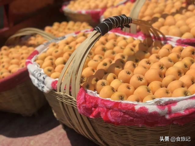 同样是大五星枇杷，四川米易枇杷几月成熟