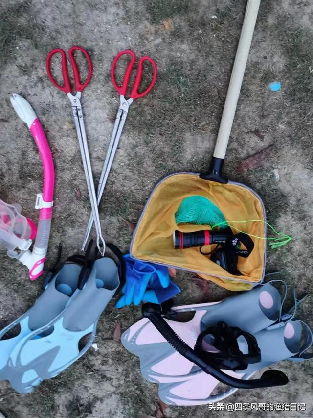 赶海去哪里比较好，在哪个海滩赶海最好玩