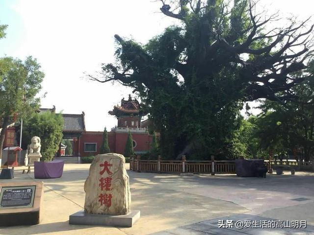 洪洞县大槐树景区，洪洞大槐树旅游攻略