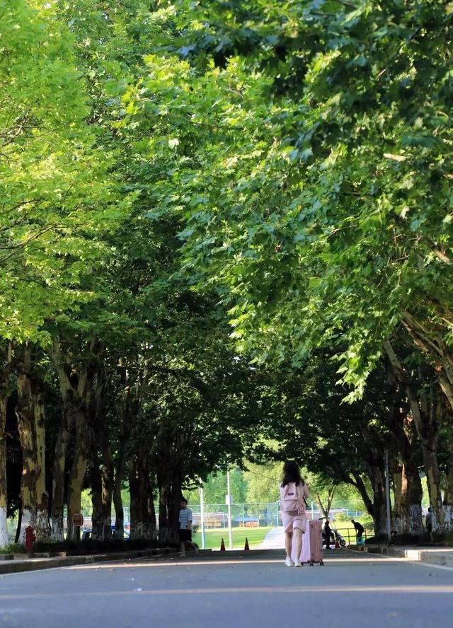 最漂亮的十所大学宿舍，别人家系列重庆大学虎溪校区学生宿舍的美不只一点