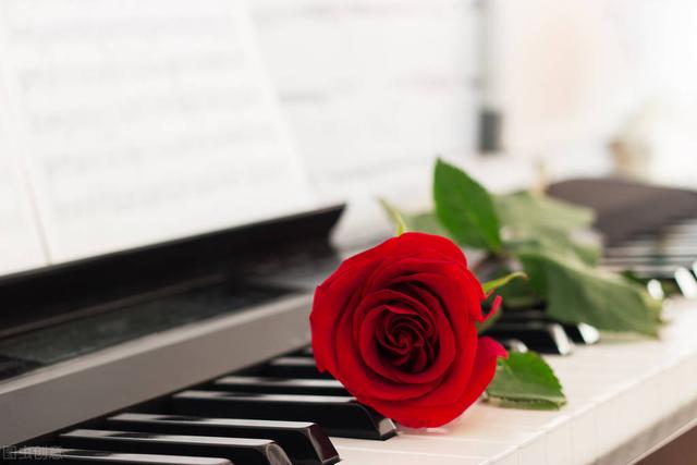 就在心里陪伴你，陪伴在心间