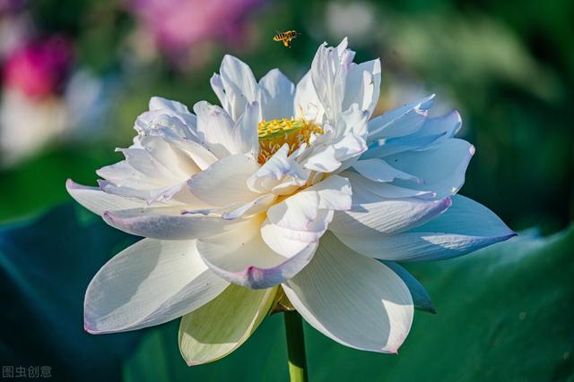 如何增进夫妻感情，夫妻增进感情的7个方法（与日常小事息息相关）