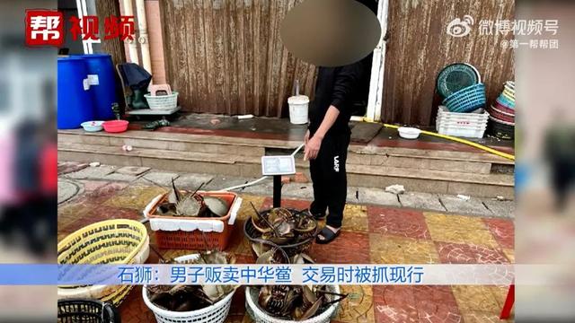 柬埔寨血奴事件，柬埔寨血奴事件发生原因（90后福建女子柬埔寨遭性侵殴打）