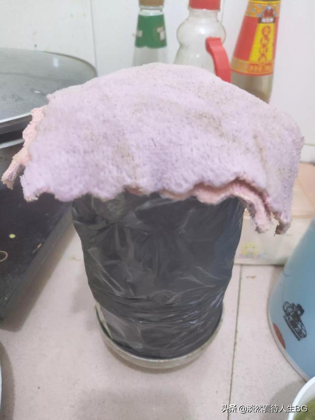 绿豆芽怎么发又粗又快，绿豆芽怎样做才能长的快些（5天就能发出又粗又壮的豆芽）