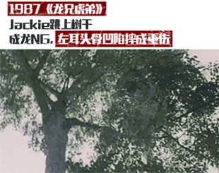 哪十位演员最能代表香港电影，香港有哪些明星演过电影