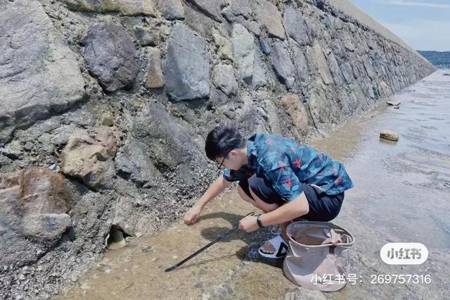 洞头冬天还能不能赶海，天气这么好去洞头赶海啊