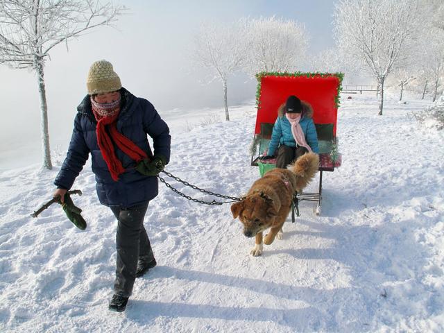 2022年春节天气预报怎么样，天气预报2022年春节冷不冷