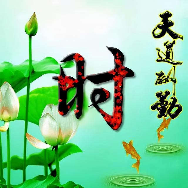 荷花头像图片大全，荷花头像高清图