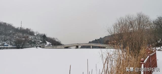 中型水库游记，河囗之行一一一看天鹅