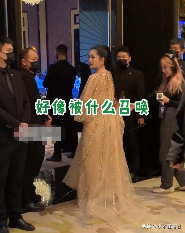 孙俪和谢娜的年龄差距，孙俪谢娜成都出席活动