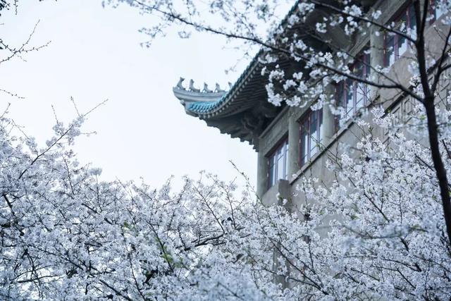 春天最适合旅行的地方，我在这3个地体验到了
