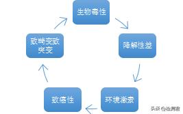 羽绒服执行标准，国标羽绒服标准