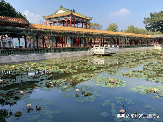 广州周末适合去玩的地方，一定不要错过广州最值得去的10大景点