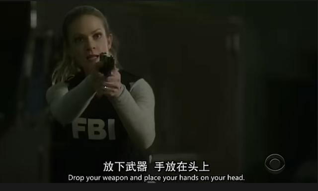 美剧犯罪心理最新季，12月初最新上线的6部黄暴美剧