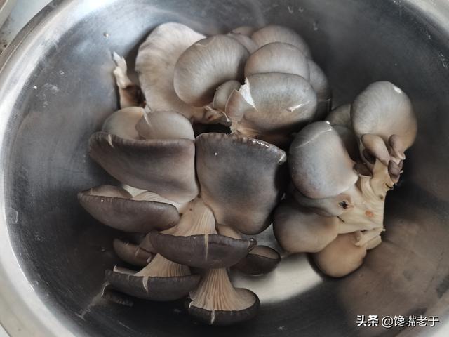 炸蘑菇一定要多加这两种配料，炸蘑菇时面糊是关键