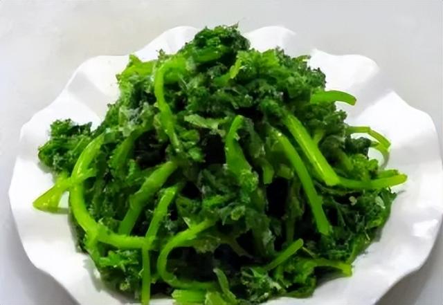 茼蒿怎么做好吃，茼蒿除了炒还可以怎么吃（茼蒿的3种经典吃法）