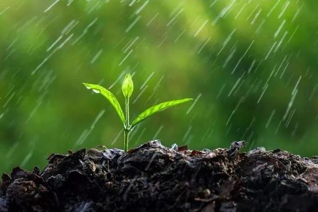 怎样理解春雨贵如油，春雨贵如油农谚也有