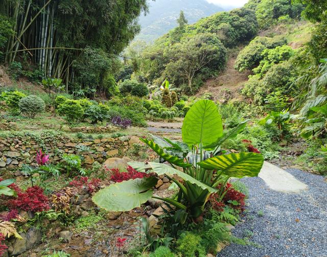 免费的乡村小众露营地，一个小而美的免费露营地