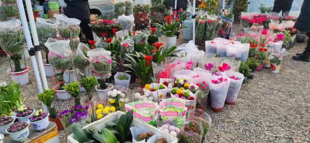 年货大集门头，年货大集一网打尽