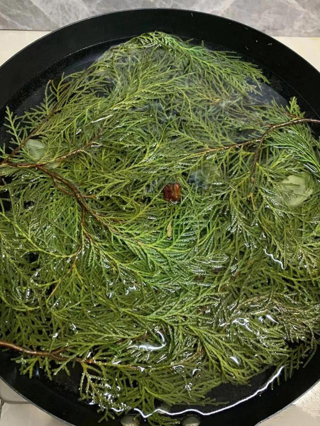 侧柏叶洗头方法，侧柏叶洗头的正确方法如下