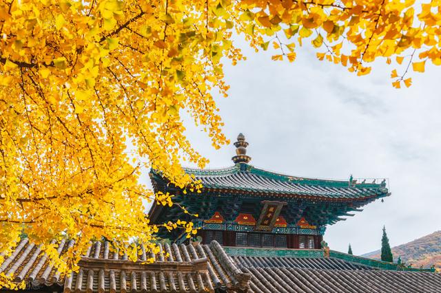 增广贤文经典名句，增广贤文十条金句