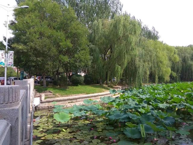 沈阳师范大学官网，沈阳师范大学官网入口