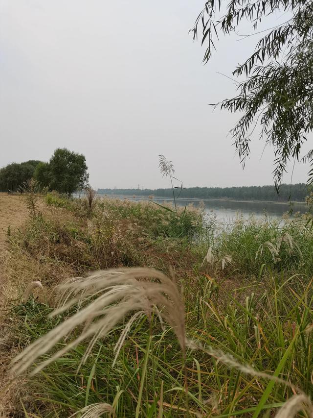 天津北辰郊野公园车祸，北辰郊野公园具体地点