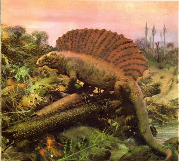 人类的进化史到底是什么样的，人类进化史上有13万年的空白,过程中发生了什么