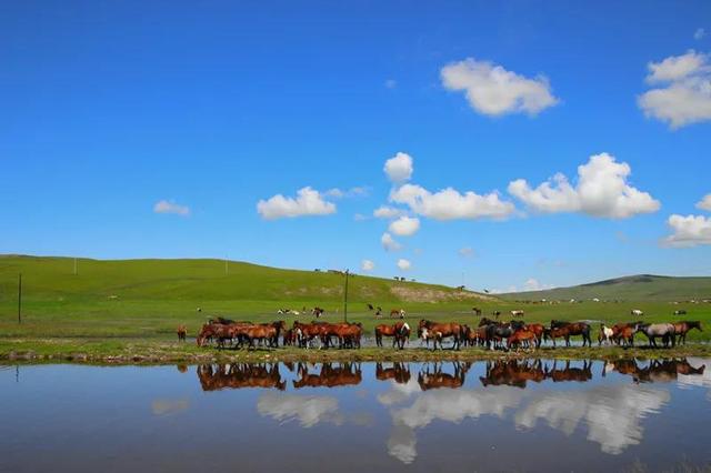 哈尔滨常住人口总数2022，2022哈尔滨各区人口