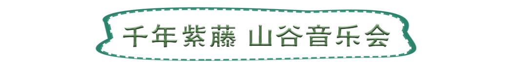 南山旅游攻略必去景点，南山旅游景区花开正好时